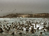 Click for preview picture of "10119 (800 x 600)"