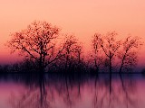 Click for preview picture of "10173 (800 x 600)"
