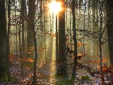 Click for preview picture of "10288 (800 x 600)"