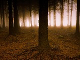 Click for preview picture of "10301 (800 x 600)"