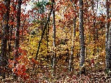 Click for preview picture of "10334 (800 x 600)"