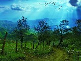 Click for preview picture of "10363 (800 x 600)"