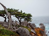 Click for preview picture of "10542 (800 x 600)"