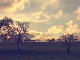 Click for preview picture of "10875 (800 x 600)"