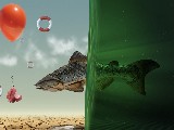 Click for preview picture of "10938 (800 x 600)"