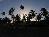 Click for preview picture of "11112 (800 x 600)"