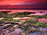 Click for preview picture of "11194 (800 x 600)"