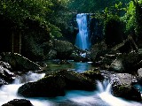 Click for preview picture of "11326 (800 x 600)"