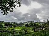 Click for preview picture of "11336 (800 x 600)"
