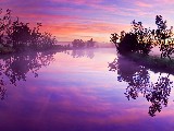 Click for preview picture of "11475 (800 x 600)"