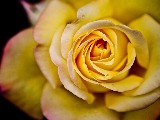 Click for preview picture of "11969 (800 x 600)"