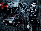 Click for preview picture of "12295 (800 x 600)"