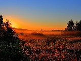 Click for preview picture of "12516 (800 x 600)"