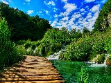 Click for preview picture of "14262 (800 x 600)"