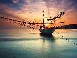 Click for preview picture of "14387 (800 x 600)"