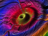Click for preview picture of "14460 (800 x 600)"