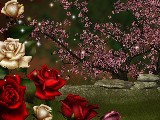 Click for preview picture of "14677 (800 x 600)"