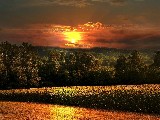 Click for preview picture of "14831 (800 x 600)"