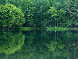 Click for preview picture of "14945 (800 x 600)"