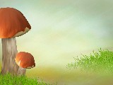 Click for preview picture of "14962 (800 x 600)"