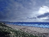 Click for preview picture of "14973 (800 x 600)"