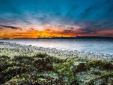 Click for preview picture of "14975 (800 x 600)"