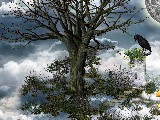 Click for preview picture of "14988 (800 x 600)"