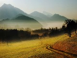 Click for preview picture of "1628 (800 x 600)"