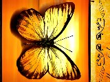 Click for preview picture of "1912 (800 x 600)"