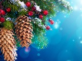 Click for preview picture of "4957 (800 x 600)"