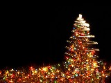 Click for preview picture of "Christma.. (800 x 600)"