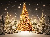 Click for preview picture of "Christma.. (800 x 600)"