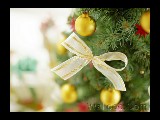 Click for preview picture of "Close_up.. (800 x 600)"