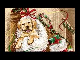 Click for preview picture of "christma.. (800 x 600)"