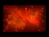 Click for preview picture of "christma.. (800 x 600)"