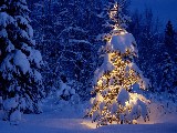 Click for preview picture of "natale (800 x 600)"