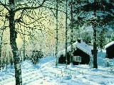 Click for preview picture of "natale003 (800 x 600)"