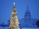 Click for preview picture of "natale_003 (800 x 600)"
