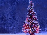 Click for preview picture of "natale_007 (800 x 600)"