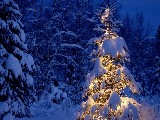 Click for preview picture of "natale_010 (800 x 600)"