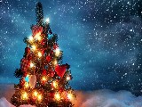 Click for preview picture of "natale_013 (800 x 600)"