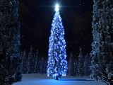 Click for preview picture of "natale_014 (800 x 600)"
