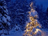 Click for preview picture of "natale_015 (800 x 600)"