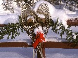 Click for preview picture of "natale_19 (800 x 600)"