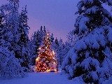 Click for preview picture of "natale_24 (800 x 600)"
