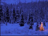 Click for preview picture of "natale_26 (800 x 600)"