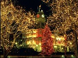 Click for preview picture of "natale_27 (800 x 600)"