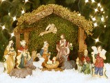 Click for preview picture of "natale_29 (800 x 600)"