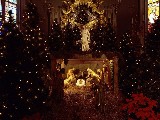 Click for preview picture of "natale_4 (800 x 600)"