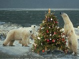 Click for preview picture of "natale_50 (800 x 600)"